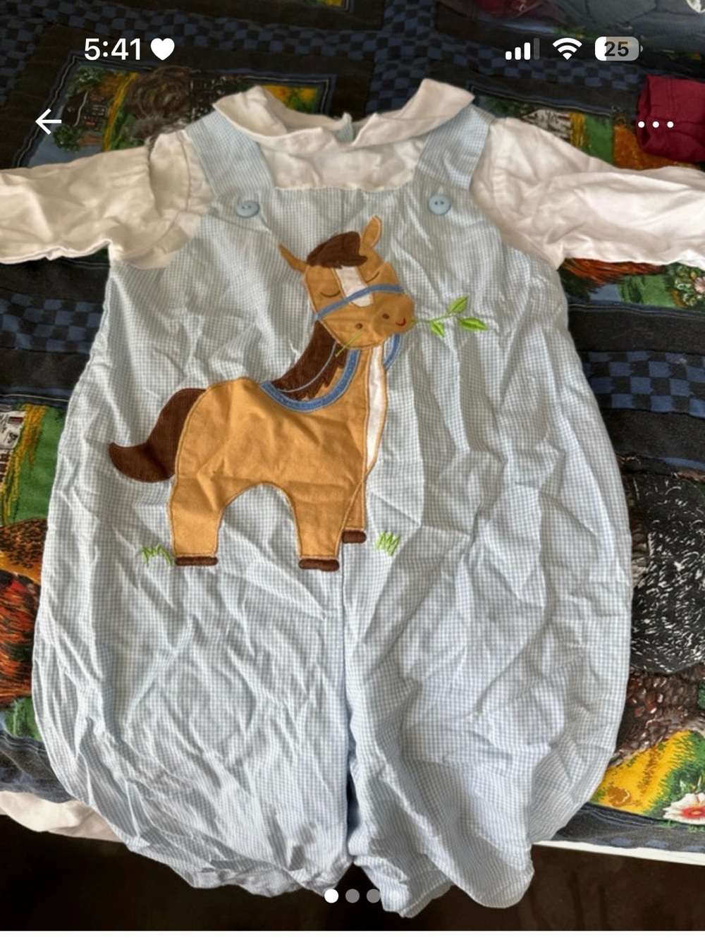Petit Ami Light Blue Gingham Horse Appliqué Sleep Sack
